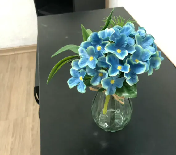 Sala da Clínica com uma planta azul na mesa